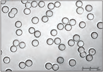 6a42164b1ef8b.png 222.png