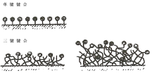 6a44eeae9bb4d.png 0331b25b-6788-4db3-a925-c0d6bba78413.png